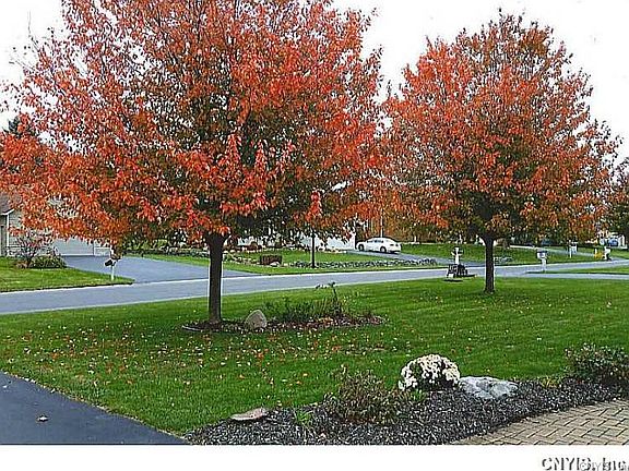 2nd image of 9256 Bendigo Dr