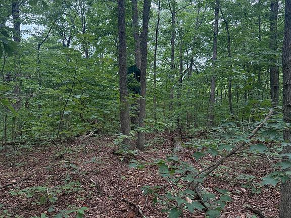 4th image of 14.52 Porch Rock Rd
