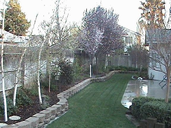 Immaculate gardens