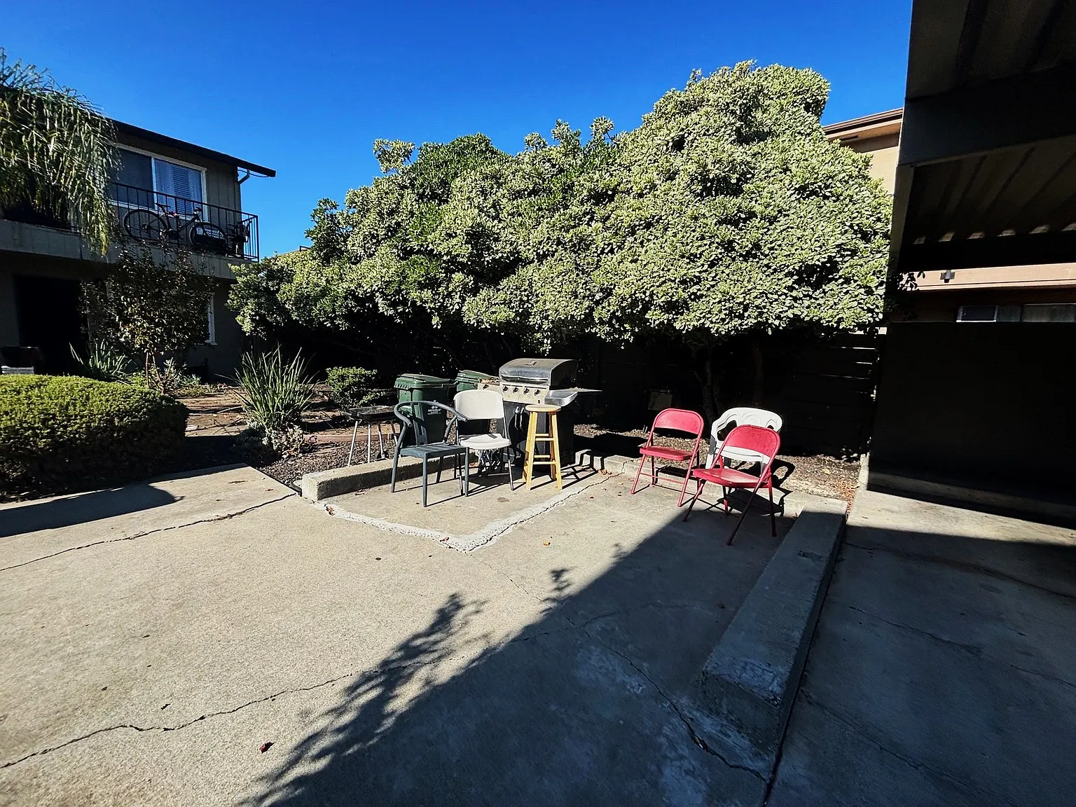 313 Lawton St — Photo 3