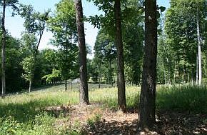 1st image of 220 Warren Dr