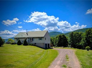 1510 Town Brook Rd, Hobart, NY 13788