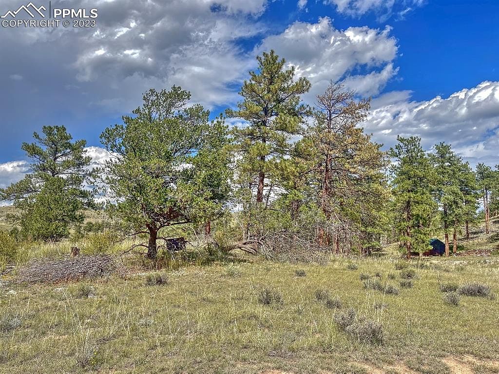 488 Color Sweet Dr, Cotopaxi, CO 81223 MLS 3195343 Zillow