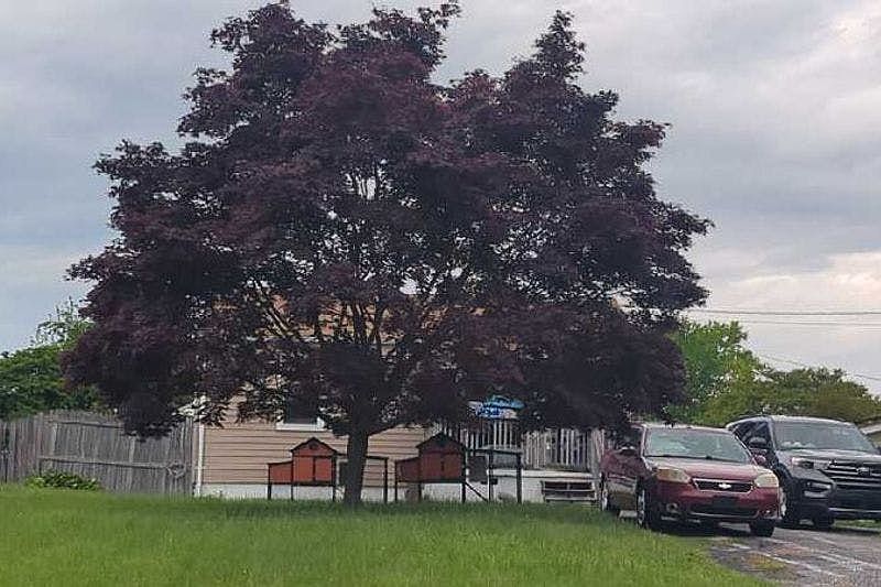 1st image of 1465 Sussex Rd