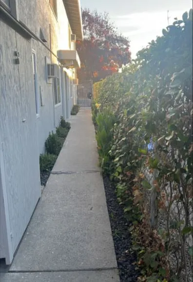2299 Grove Ave — Photo 6