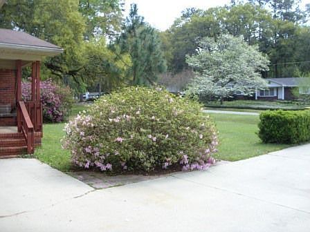Fort Yard