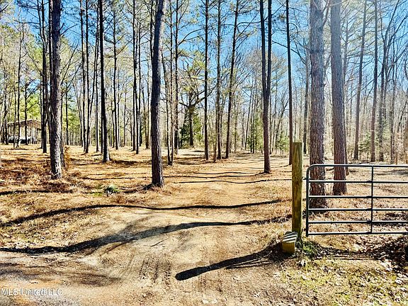 3rd image of 104 Mamie Mangum Rd