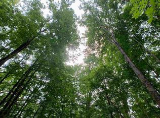 Zink Rd, Boyne city, MI 49712