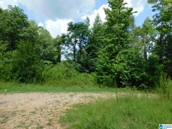 10566 State Highway 23 #2, Ashville, AL 35953