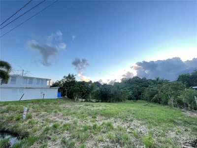 Bo Cerro Gordo Carr 916 Kmhm #3.7, San Lorenzo, PR, 00754