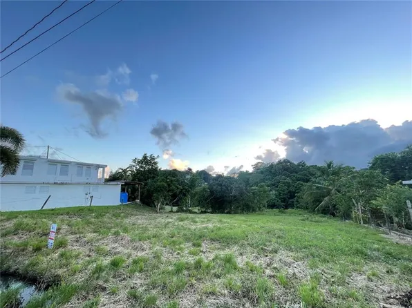 Bo Cerro Gordo Carr 916 Kmhm #3.7, San Lorenzo, PR 00754