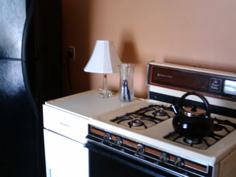 21 Schubert St #2 — Photo 7