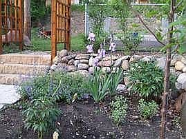 Stone steps to fenced vegetable garden
