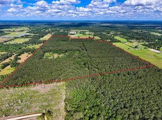 Private Road 5170, Kirbyville, TX 75956