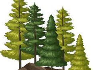 6.79 A End McAllister Rd, Buckfield, ME 04220