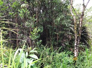 2 Road Ao, Mountain View, HI 96771