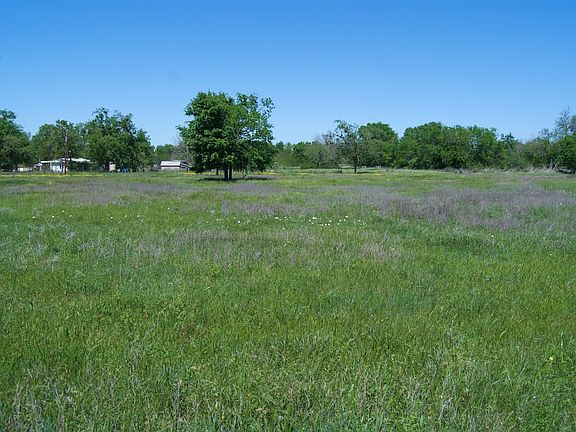 3rd image of 3.4 Ac Millican Cut