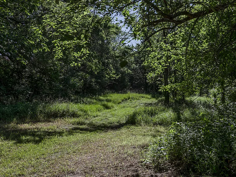 10355 Kill Creek Rd — Photo 14