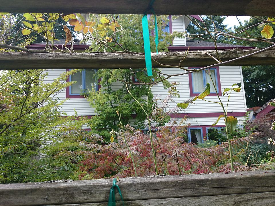 2nd image of 7549 31st Ave NE