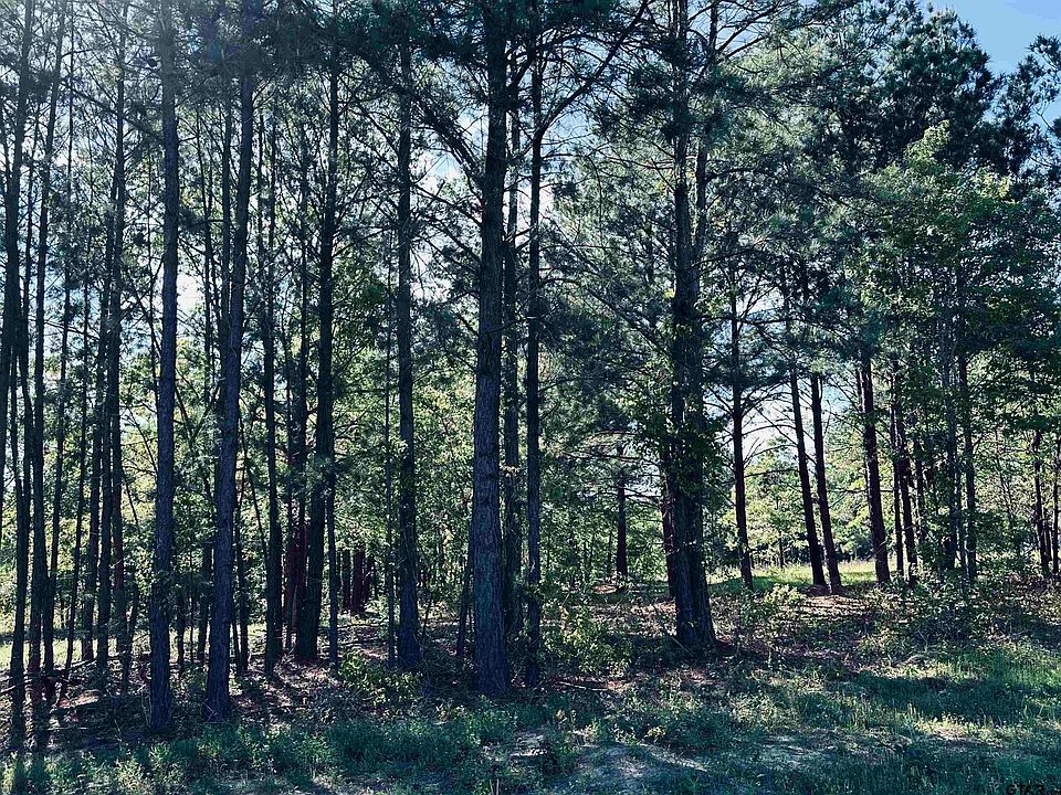 2nd image of 2601 Fm 346 N