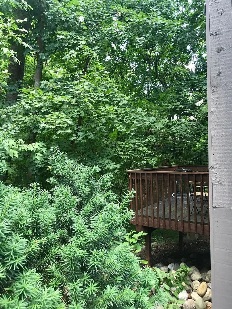 106 Tulip Tree Ct — Photo 2
