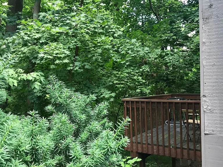106 Tulip Tree Ct — Photo 2
