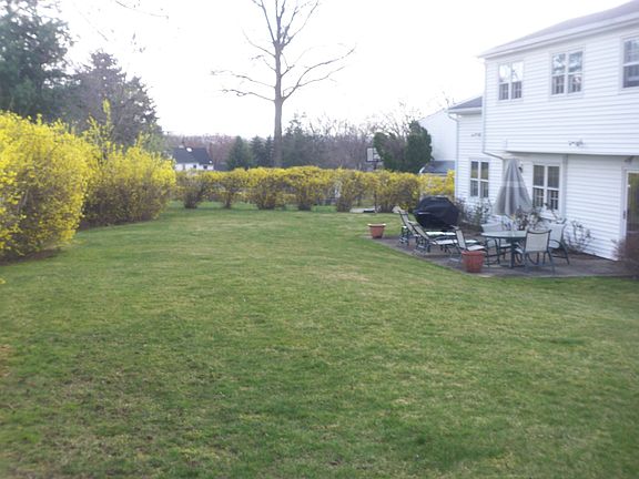 Another view of the backyard