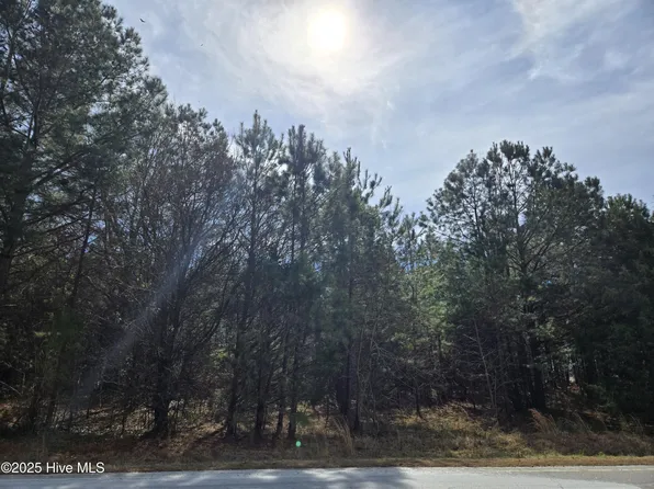 Lot 2 Momeyer Way, Momeyer, NC 27856