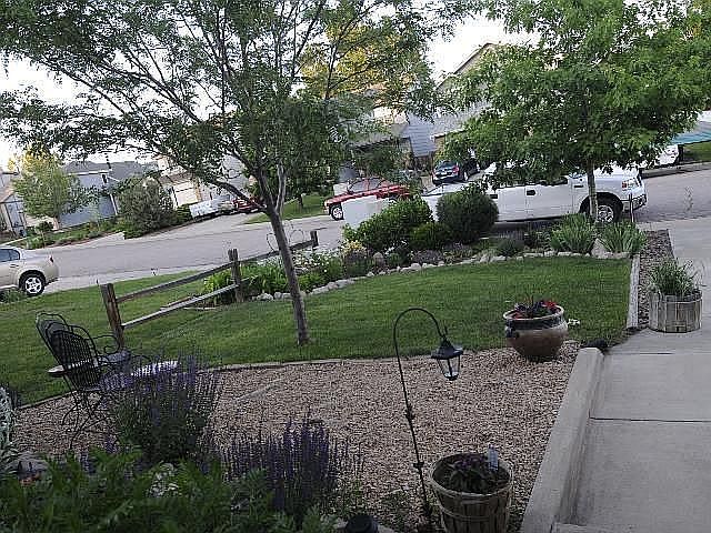 Front Yard
