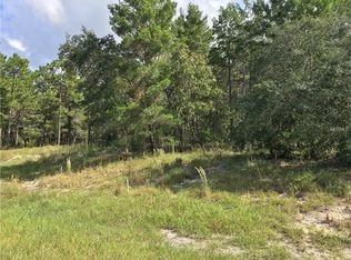 10128 Shortleaf Ct, Weeki Wachee, FL 34613