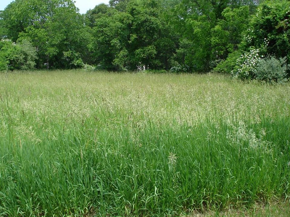 1st image of 7 Lawler Ln