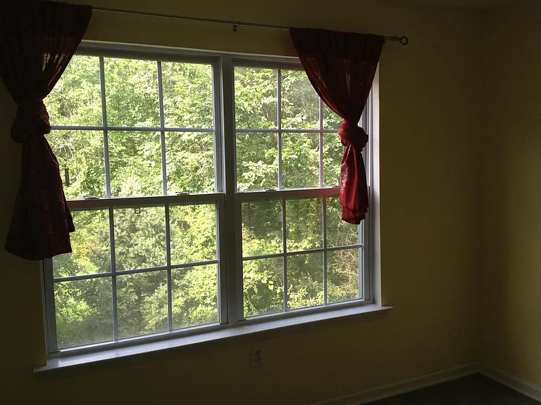 Kitchen Window - same windows/view from Living room, Master
