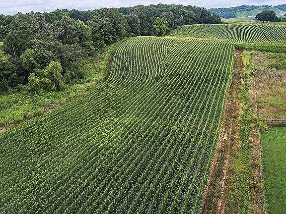 4th image of 6710 Warrensburg Rd