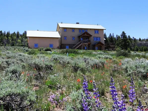22824 Highway 149, Powderhorn, CO 81243