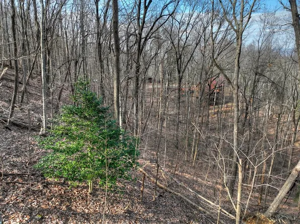 Lts 159 Hickory Trce, Ellijay, GA 30536