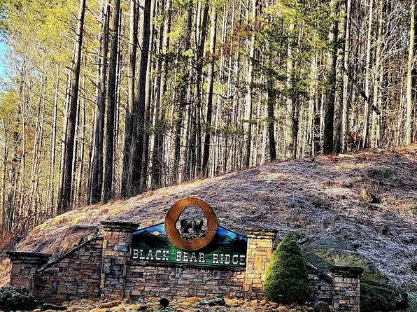 37 Black Bear Ridge Rd, Ellijay, GA 30536