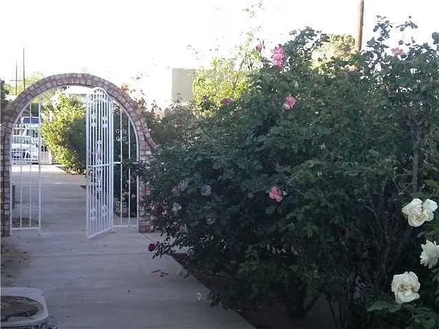 Douglas Ave, El Paso — Photo 2
