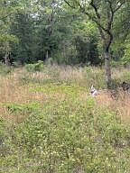 4th image of 5751 County Highway 1087