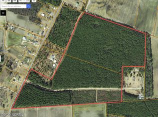 LOT 1 Dobbersville Rd, Mount Olive, NC 28365