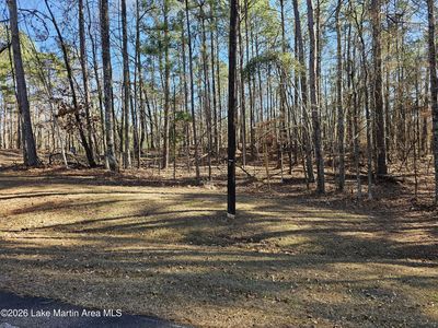 LOT 15 Doeskin Ct, Dadeville, AL, 36853