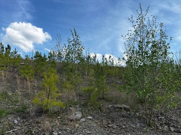 2730 Glovers Bend Rd #1, Dora, AL 35062