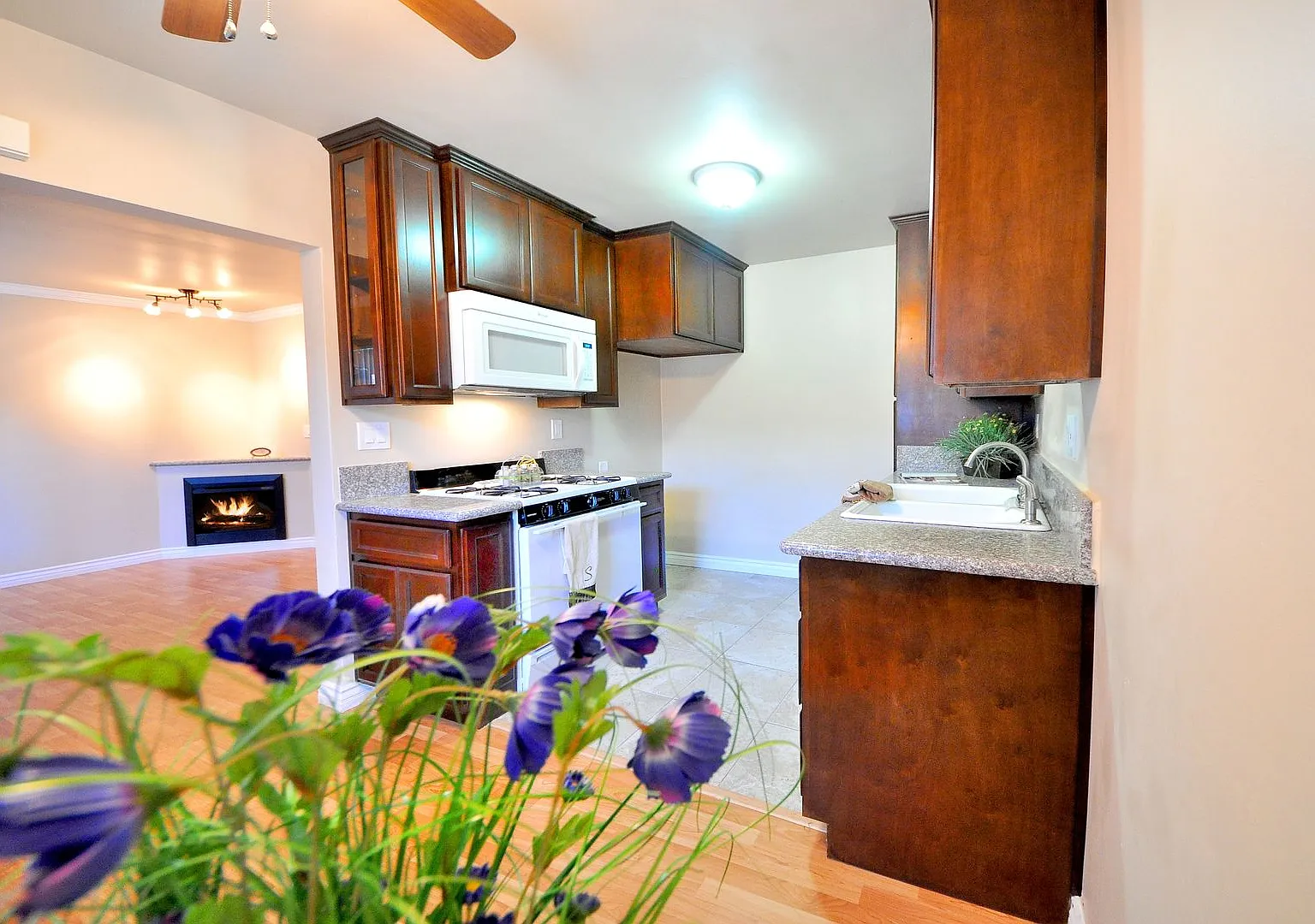 Temple City Vista, LLC — Photo 1