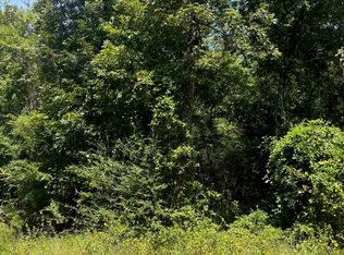 Deerwood Dr, Harleton, TX 75651