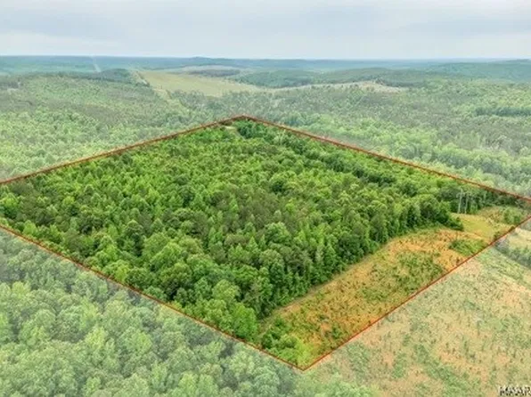 1 Lagrone Rd, Moundville, AL 35474