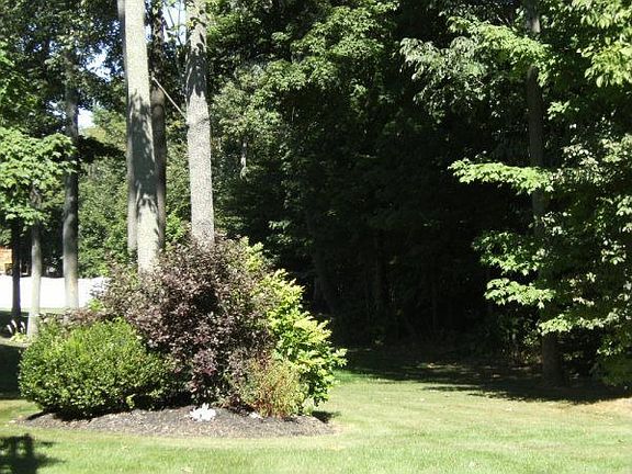 lovely wooded views from deck