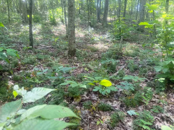 Rowe Roe Crk, Catlettsburg, KY 41129