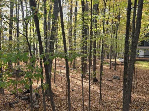 260 Chestnuthill Dr, Lake Ariel, PA 18436