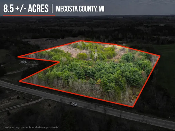 V/l 85a 18 Mile Rd, Remus, MI 49340