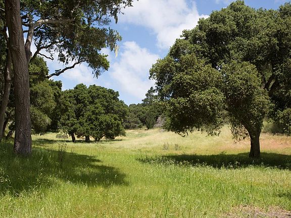 4th image of 5495 Oak Trl