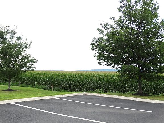 View from Front of Apartment